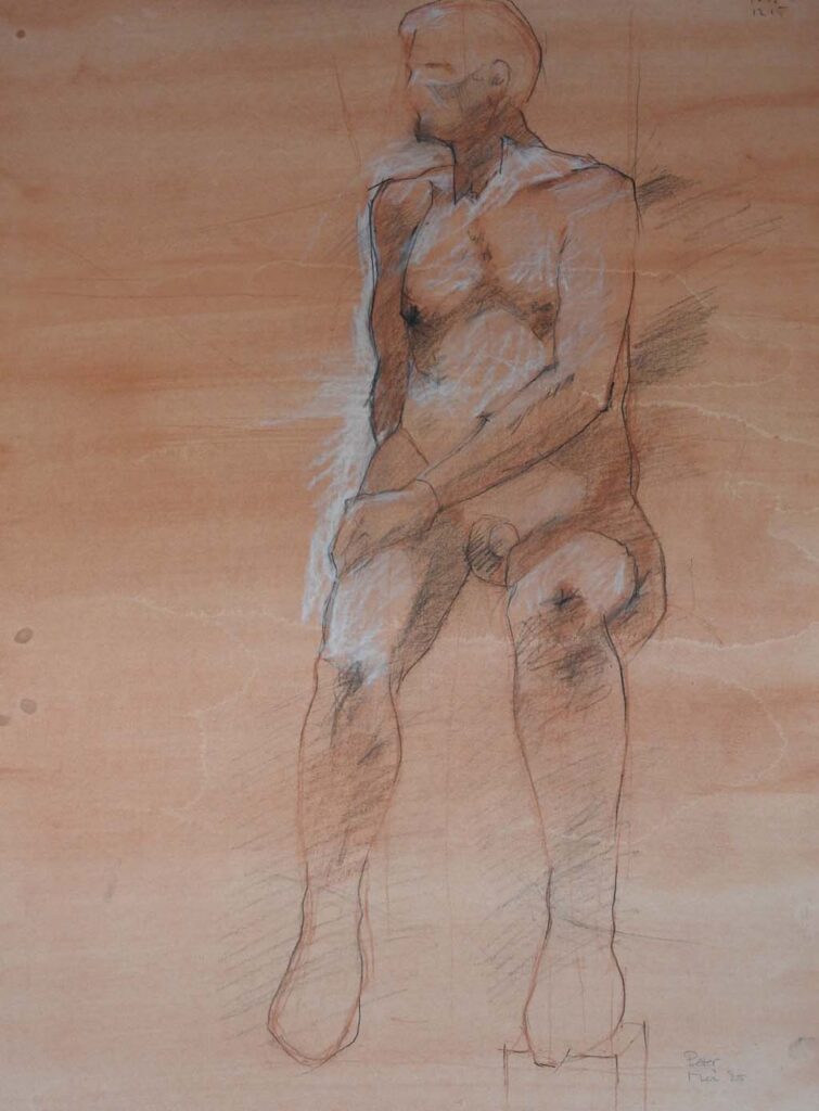 Tekening op gekleurde ondergrond Wit Conté krijt, houtskool potlood en sanguine potlood